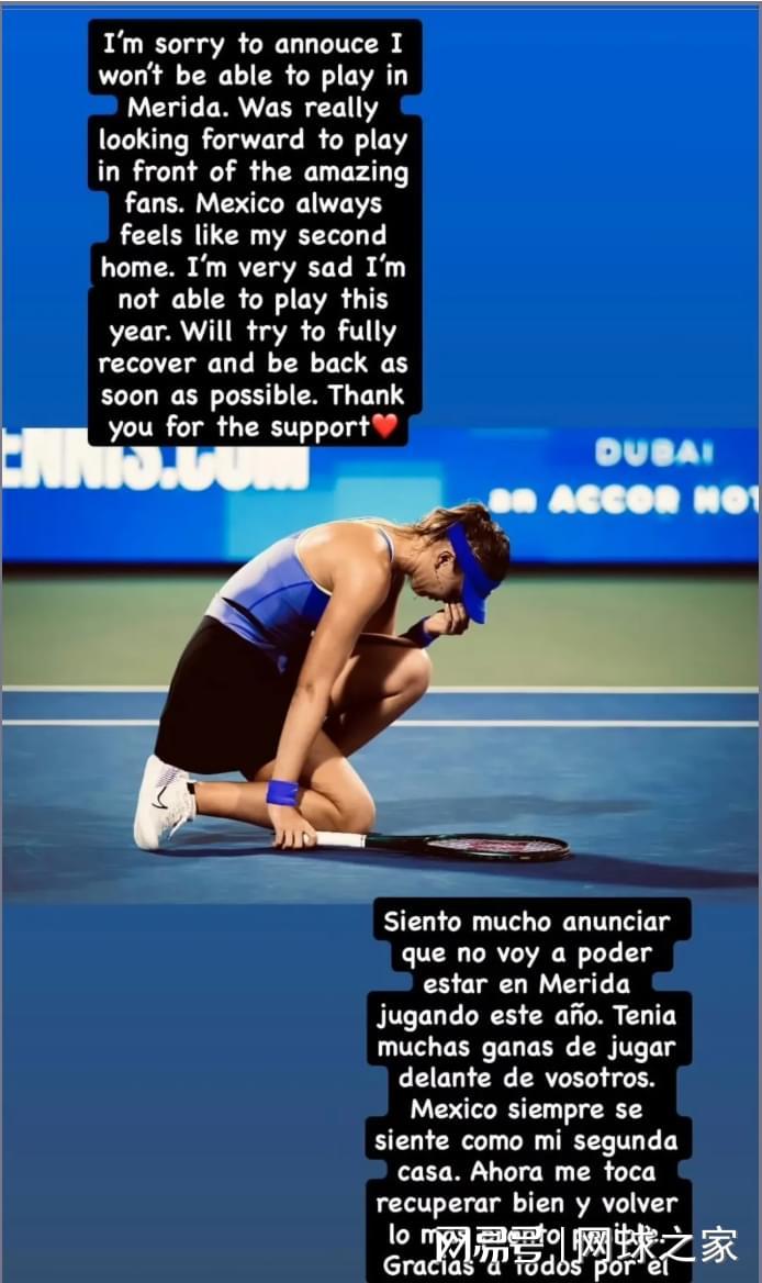 开云体育平台-三金花出战迈阿密郑钦文压力最大，迪拜退赛潮波及梅里达多人退赛